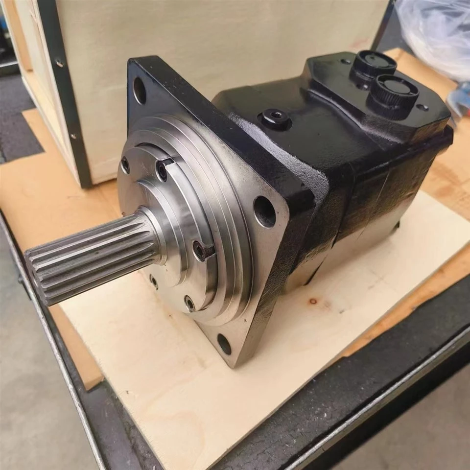 hydraulic motor