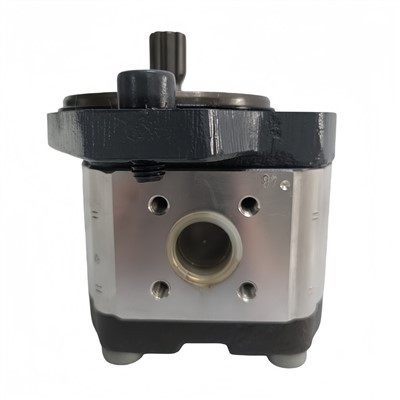 Käigupump|0510425041 AZPF-11-008RRR20KB-S0081|Rexrothi pump